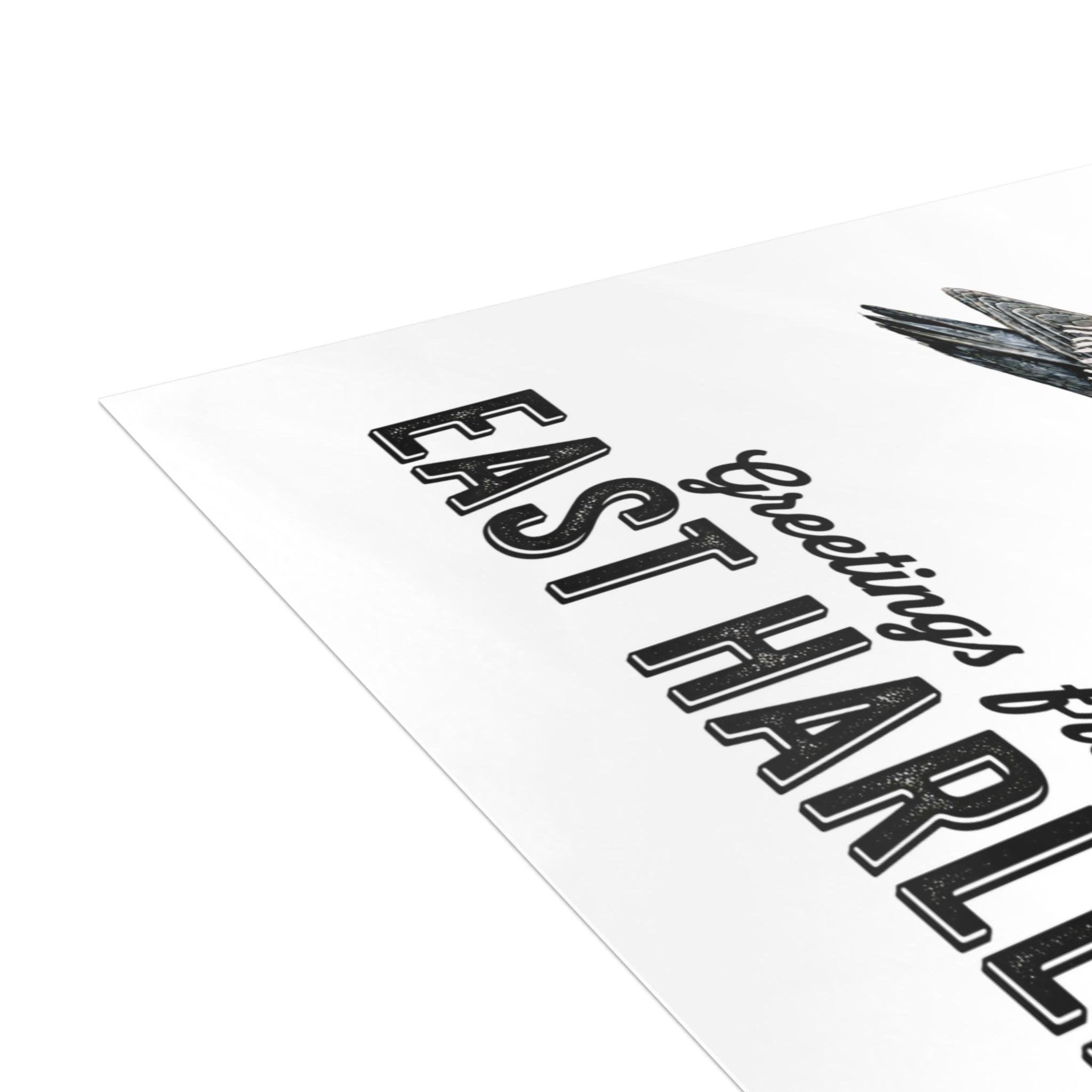 East Harlem NYC Pigeon Postcard Bundle (envelopes included)