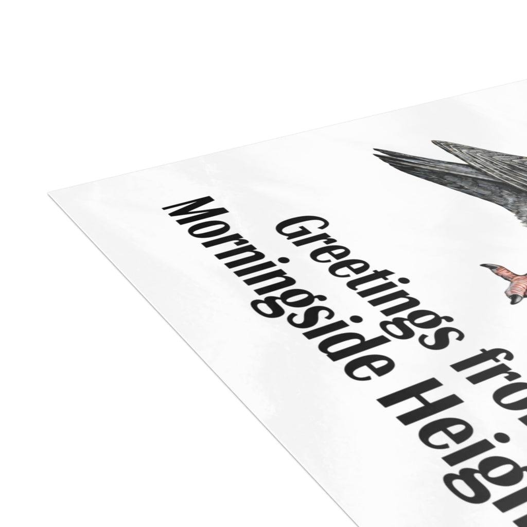 Morningside Heights NYC Pigeon Postcard Bundle (envelopes included)
