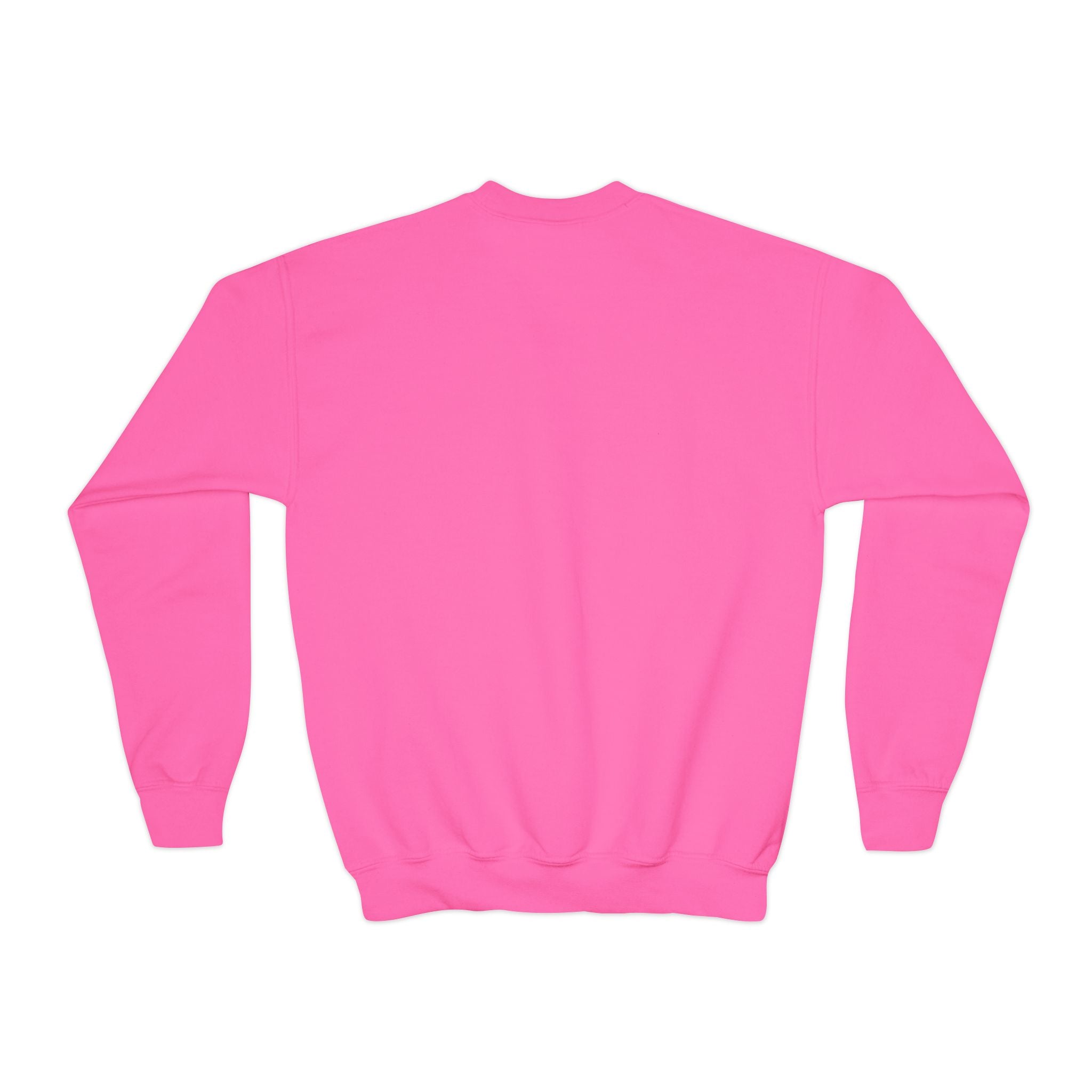 Customizable Astor Place NYC Pigeon NYC Kids Crewneck Sweatshirt    New York Alamo Cube Bird Lover Childrens Sweater
