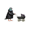 Park Slope NYC Pigeon 3" x 3" Sticker