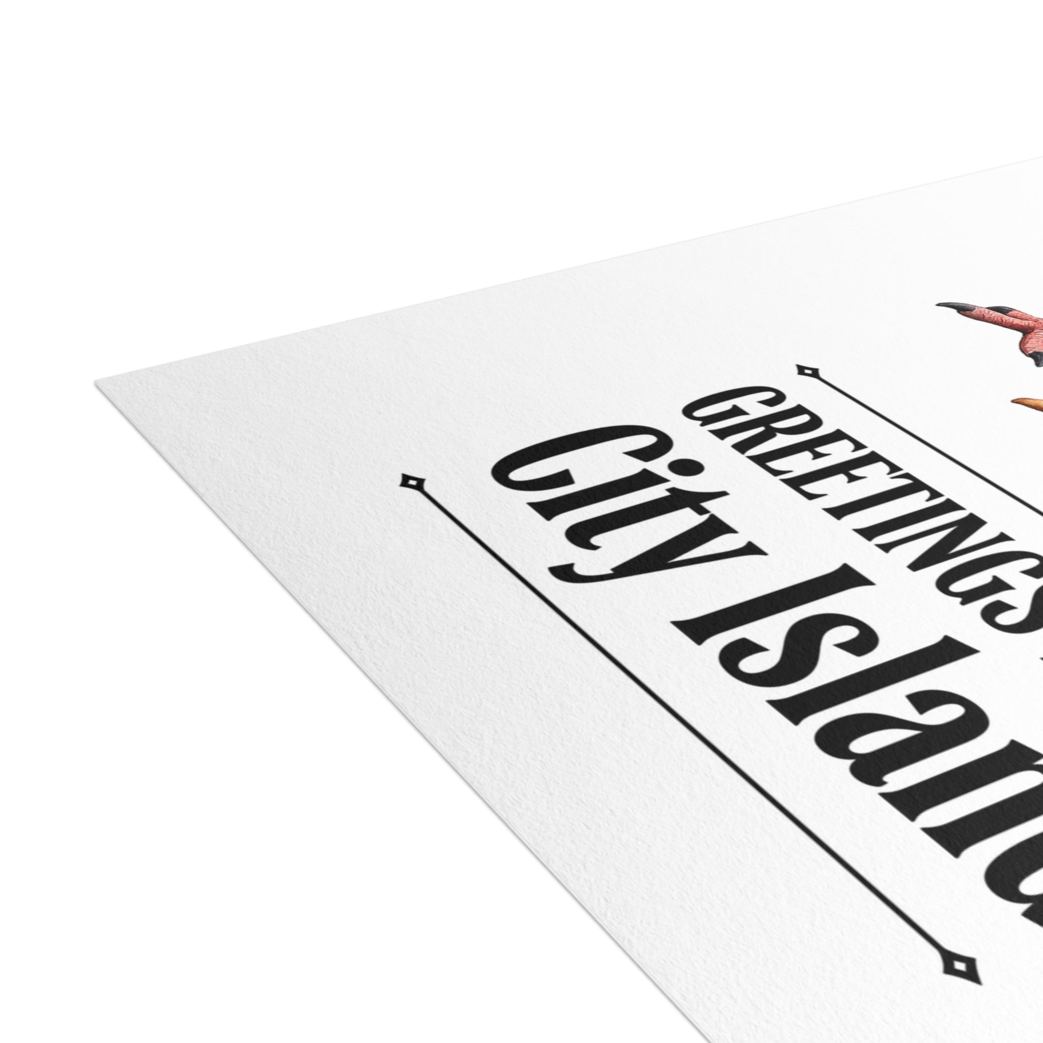 City Island NYC Pigeon Postcard Bundle (envelopes included)