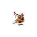 Woodlawn NYC Pigeon Magnet | Irish Bagpiper Bird Lover Fridge Magnet