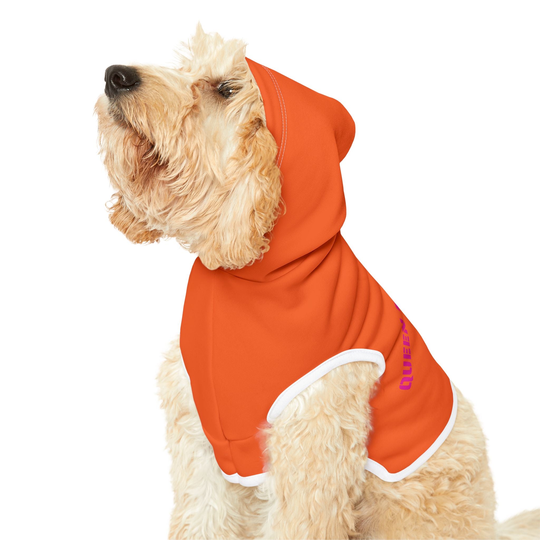Queen From Queens Orange Hoodie I  Pet Sweatshirt