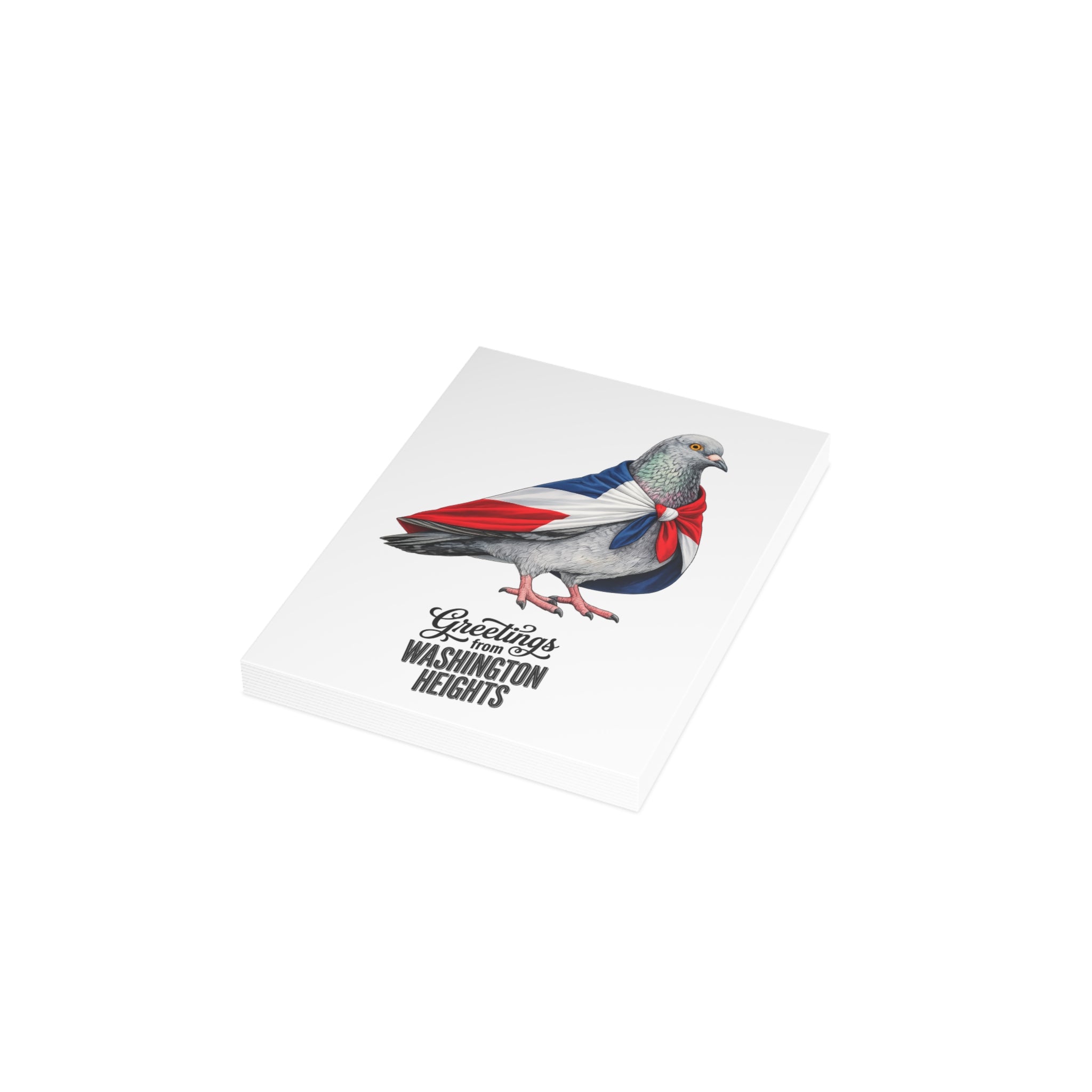 Washington Heights NYC Pigeon Postcard Bundle (envelopes included)