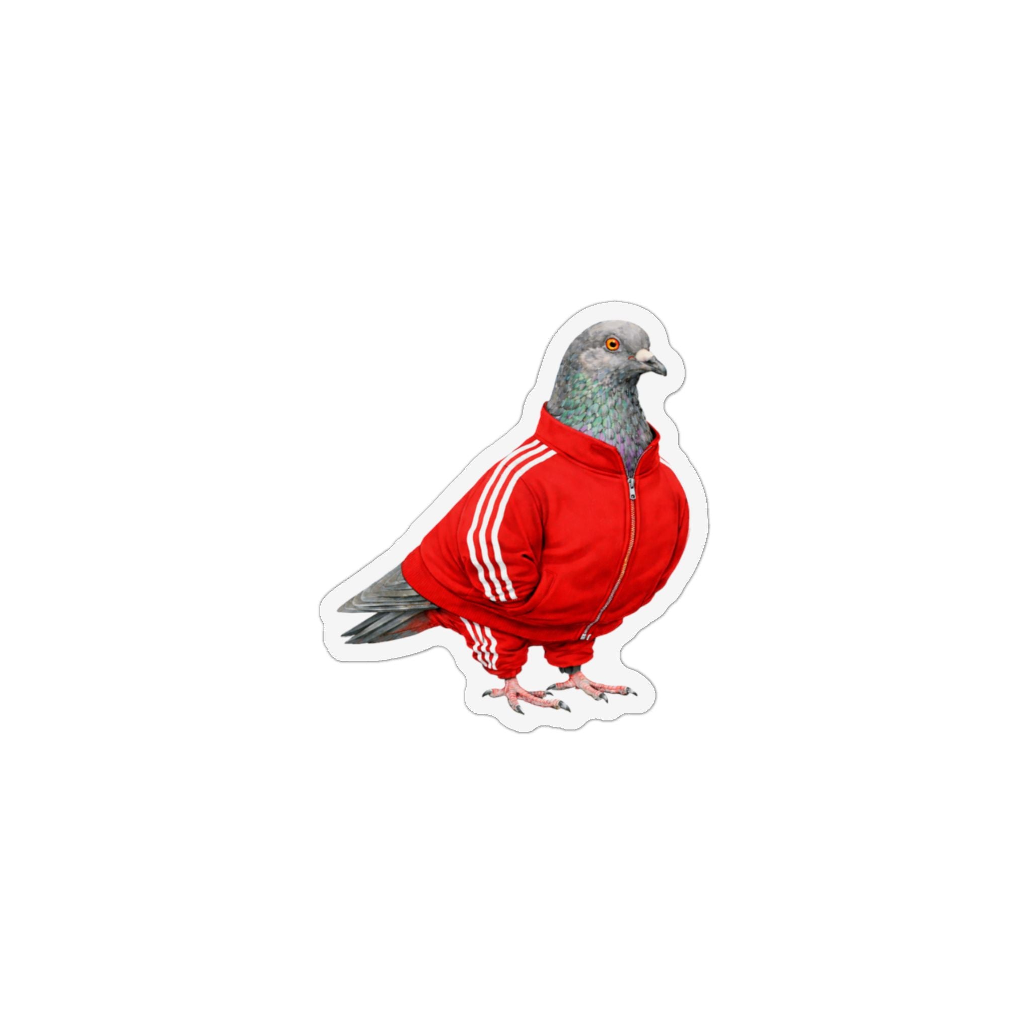 Brighton Beach NYC Pigeon Magnet | Track Suit Bird Lover Fridge Magnet