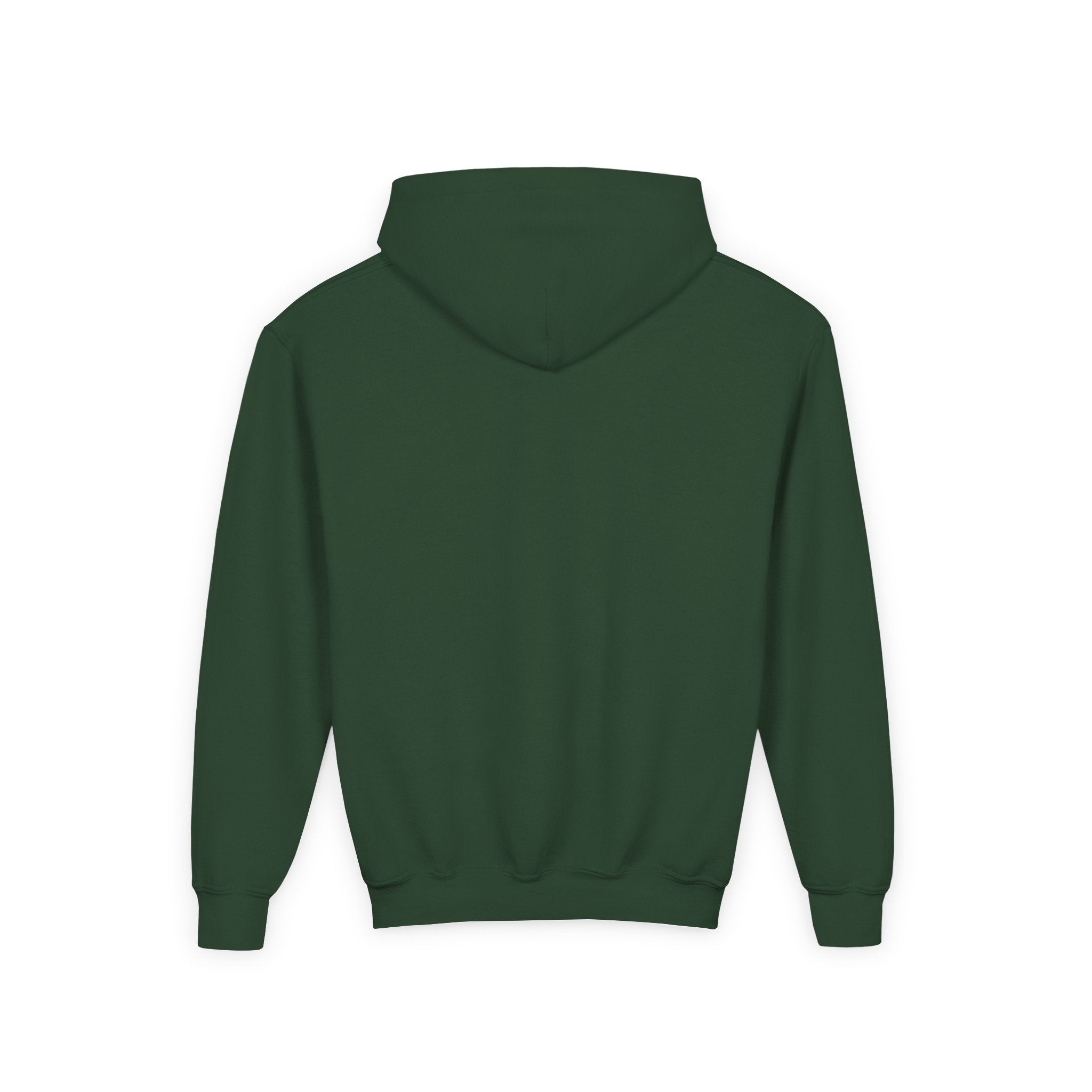 Central Park Model Sailboat NYC Kids Hoodie | New York Childrens Hooded Sweatshirt