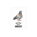 Diamond District NYC Pigeon Postcard Bundle (envelopes included)