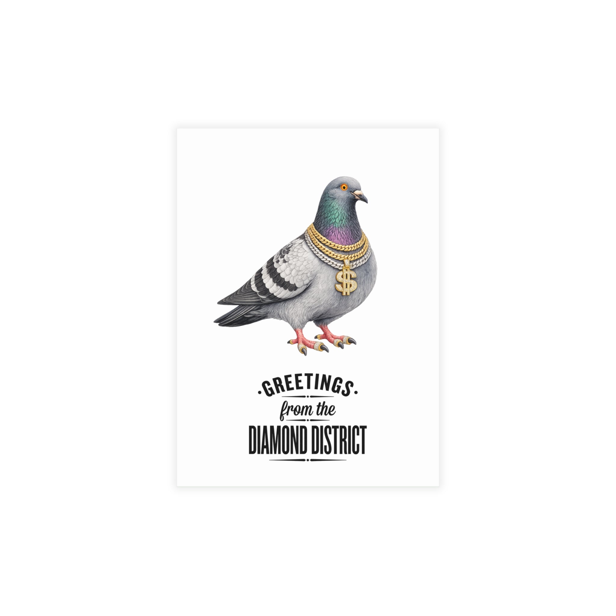 Diamond District NYC Pigeon Postcard Bundle (envelopes included)