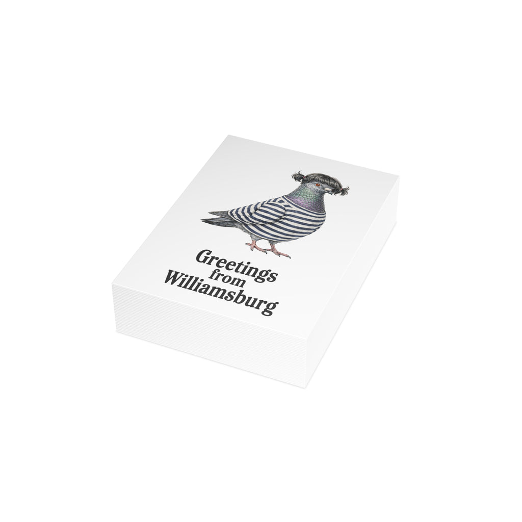 Williamsburg NYC Pigeon Postcard Bundle (envelopes included)