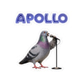 Harlem NYC Pigeon 3" x 3" Sticker