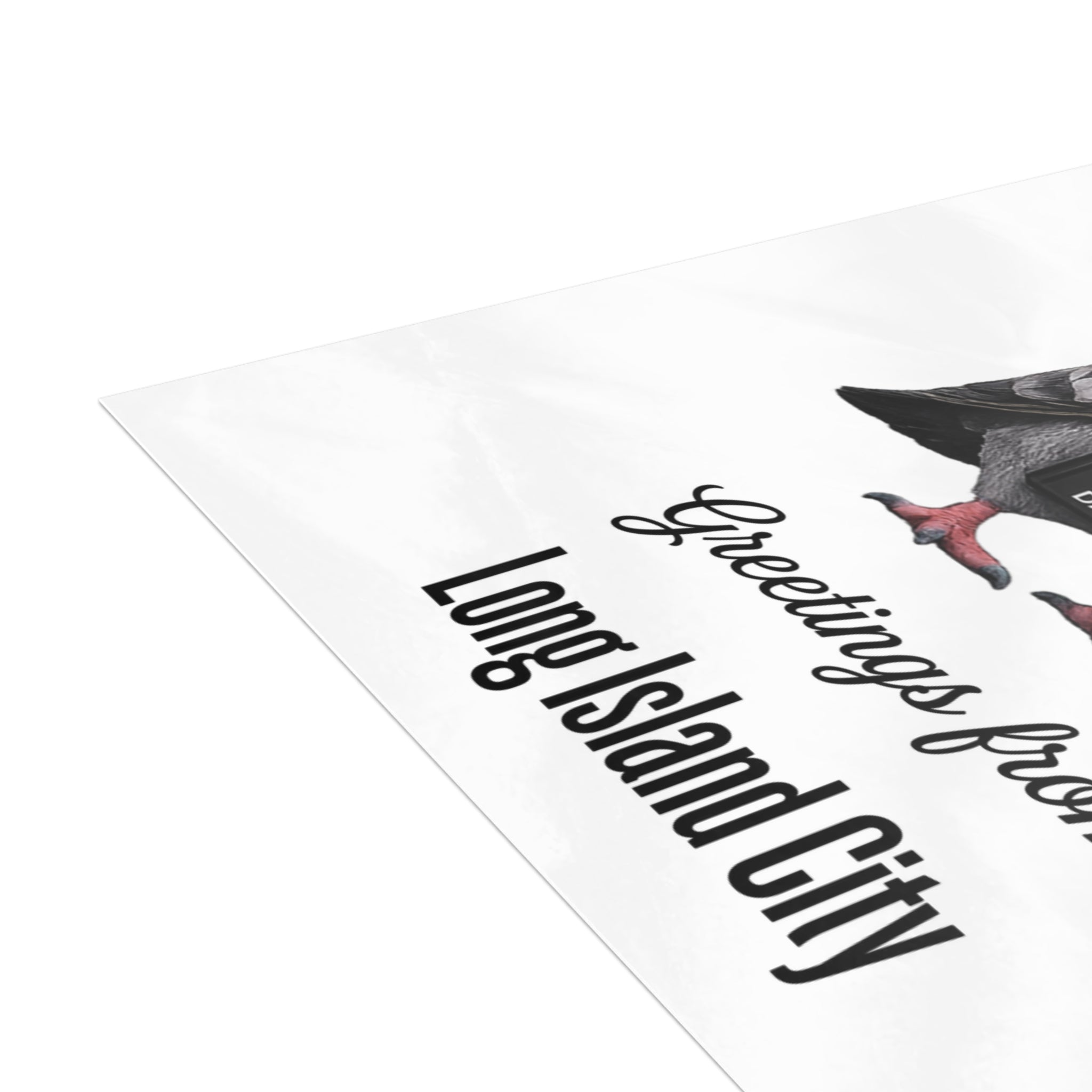 Long Island City NYC Pigeon Postcard Bundle (envelopes included)