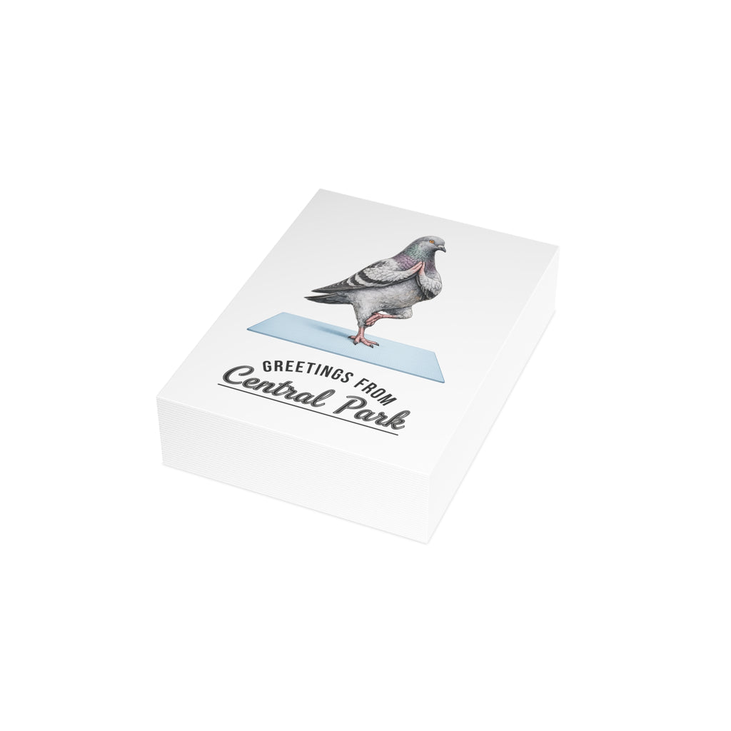 Central Park NYC Pigeon Postcard Bundle (envelopes included)