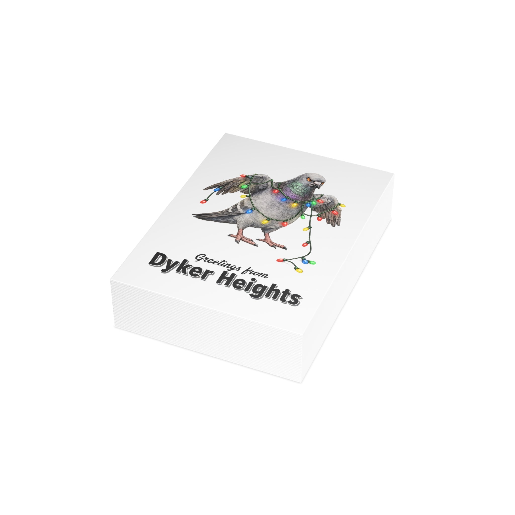 Dyker Heights NYC Pigeon Postcard Bundle (envelopes included)