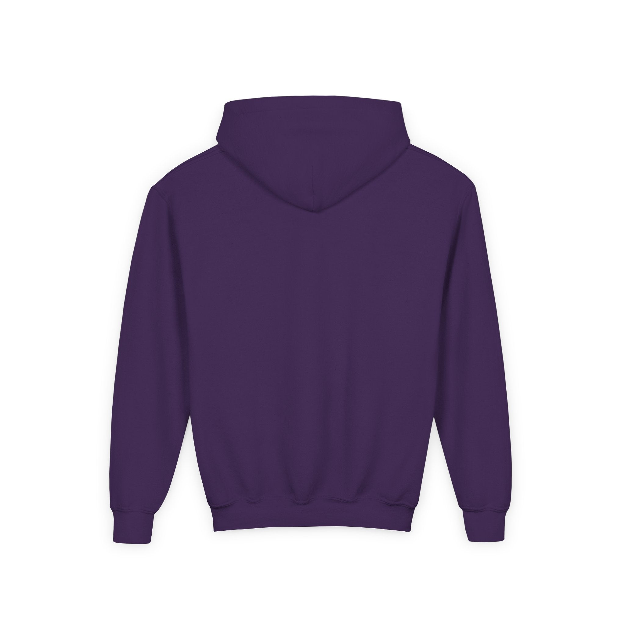 Central Park Model Sailboat NYC Kids Hoodie | New York Childrens Hooded Sweatshirt