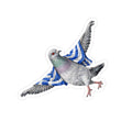 Astoria NYC Pigeon 3" x 3" Sticker