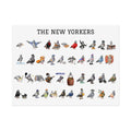 The New Yorkers Neighborhood Pigeons Rolled Poster | NYC Pigeon Gift for Bird Lovers