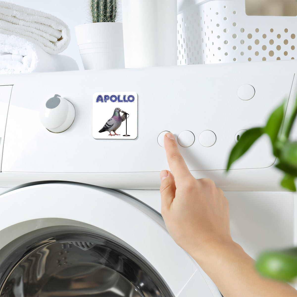 Harlem NYC Pigeon Magnet