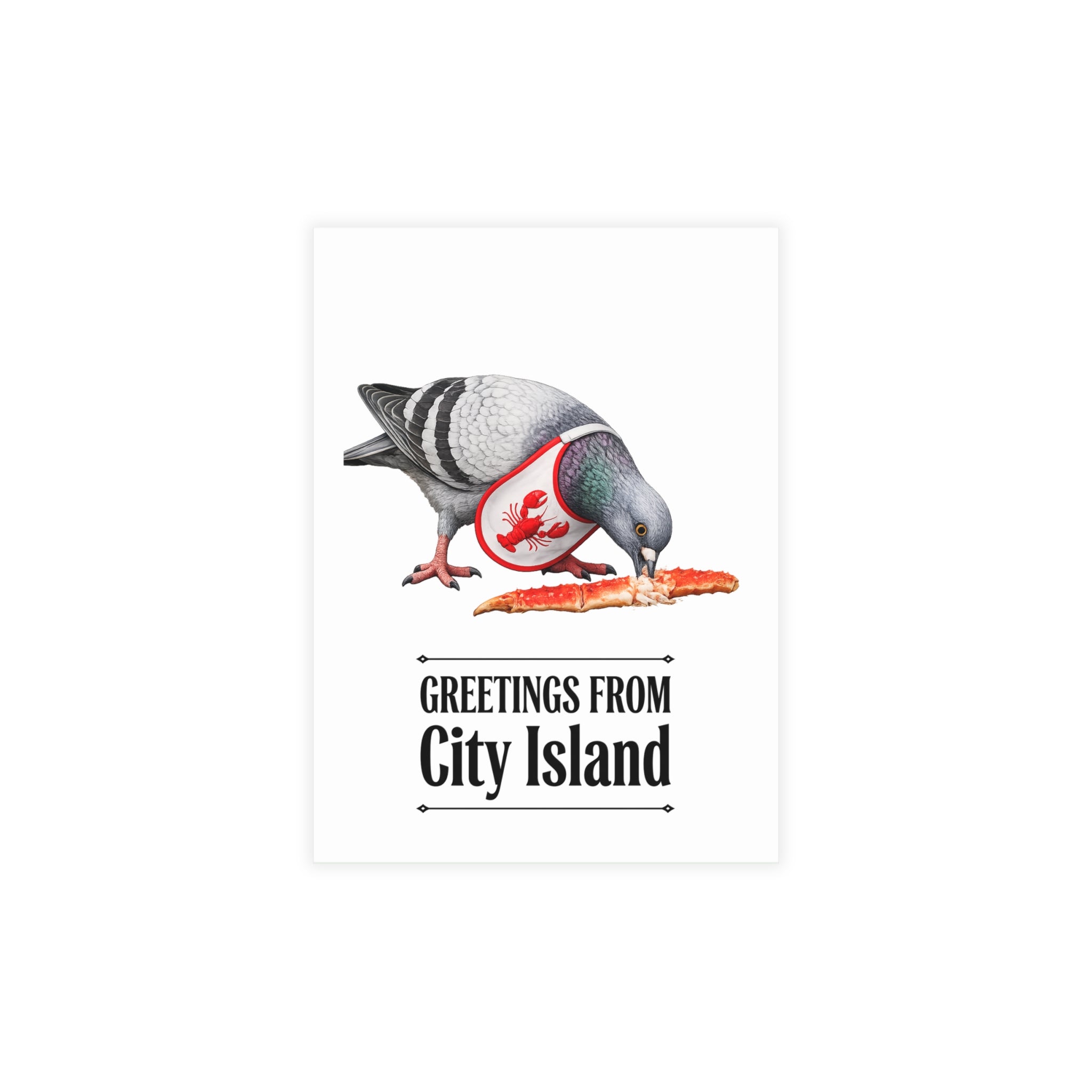 City Island NYC Pigeon Postcard Bundle (envelopes included)