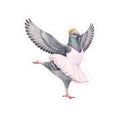 Lincoln Square NYC Pigeon 3" x 3" Sticker
