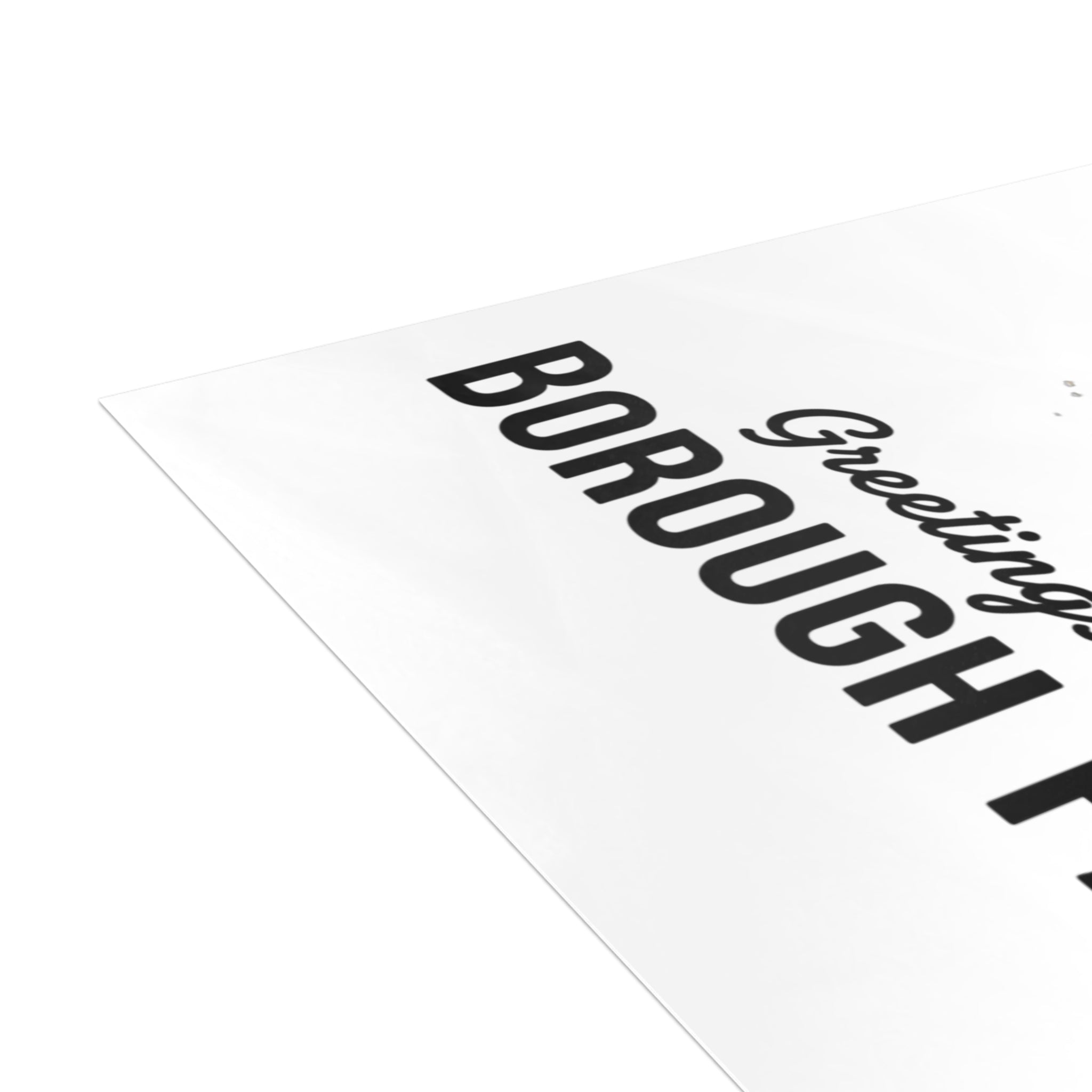 Borough Park NYC Pigeon Postcard Bundle (envelopes included)