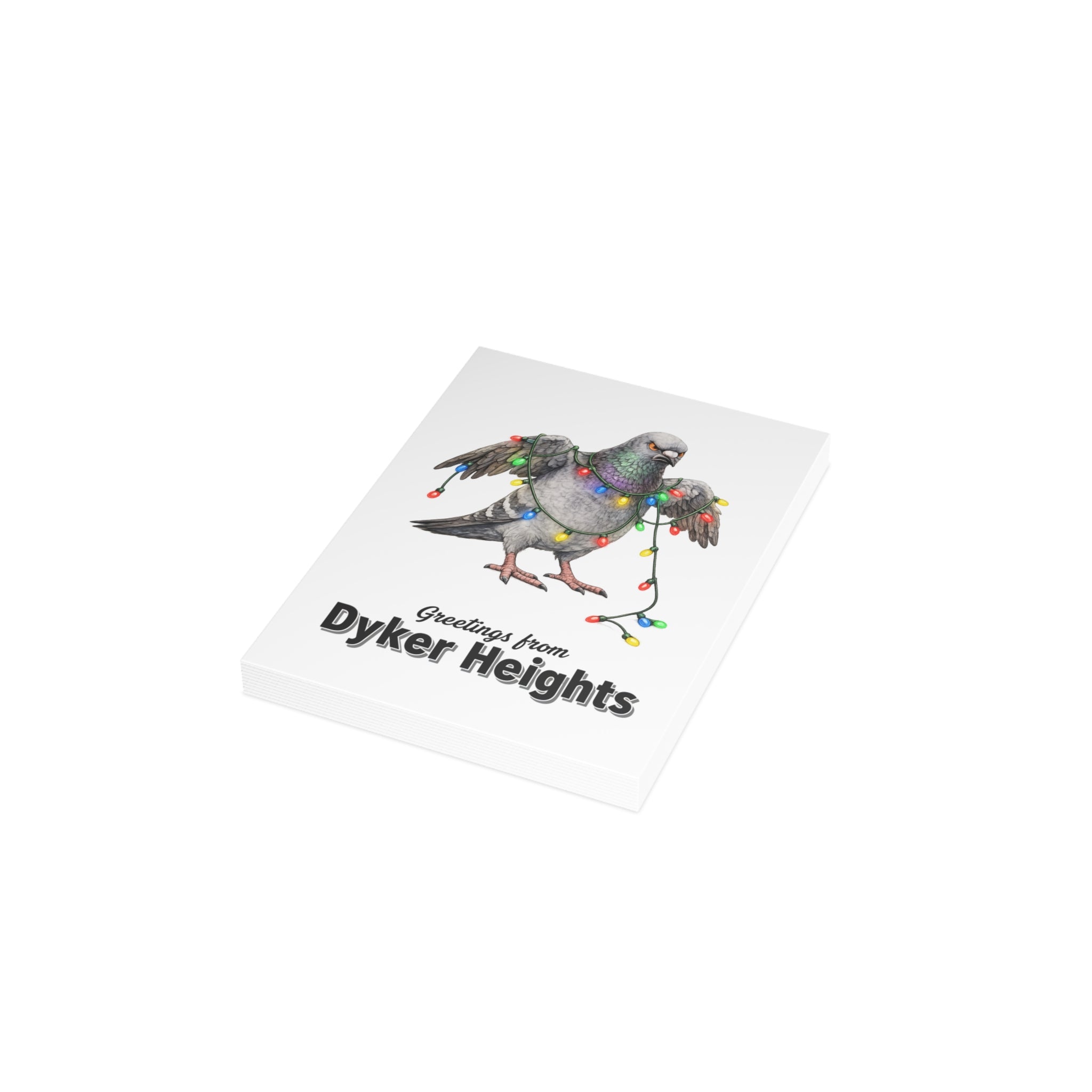 Dyker Heights NYC Pigeon Postcard Bundle (envelopes included)