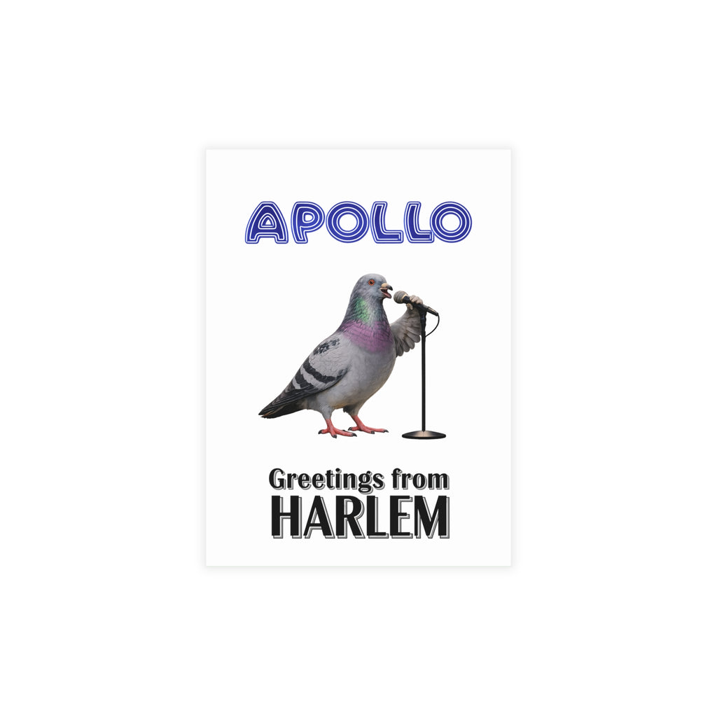 Harlem NYC Pigeon Postcard Bundle (envelopes included)