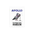 Harlem NYC Pigeon Postcard Bundle (envelopes included)