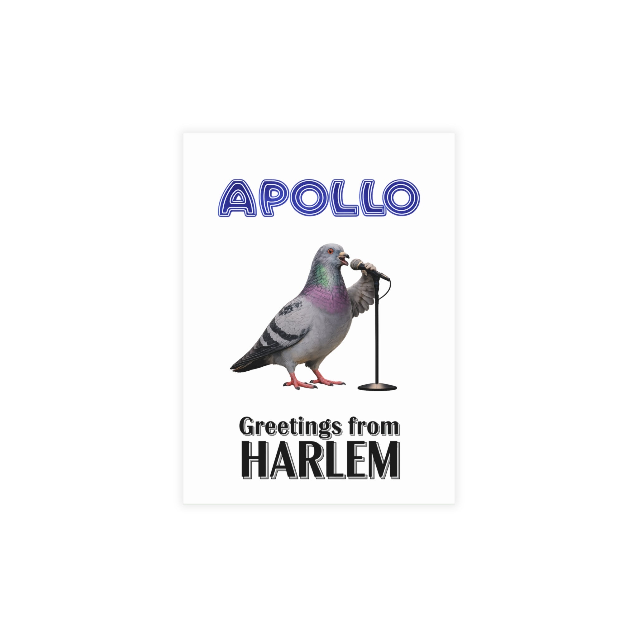 Harlem NYC Pigeon Postcard Bundle (envelopes included)
