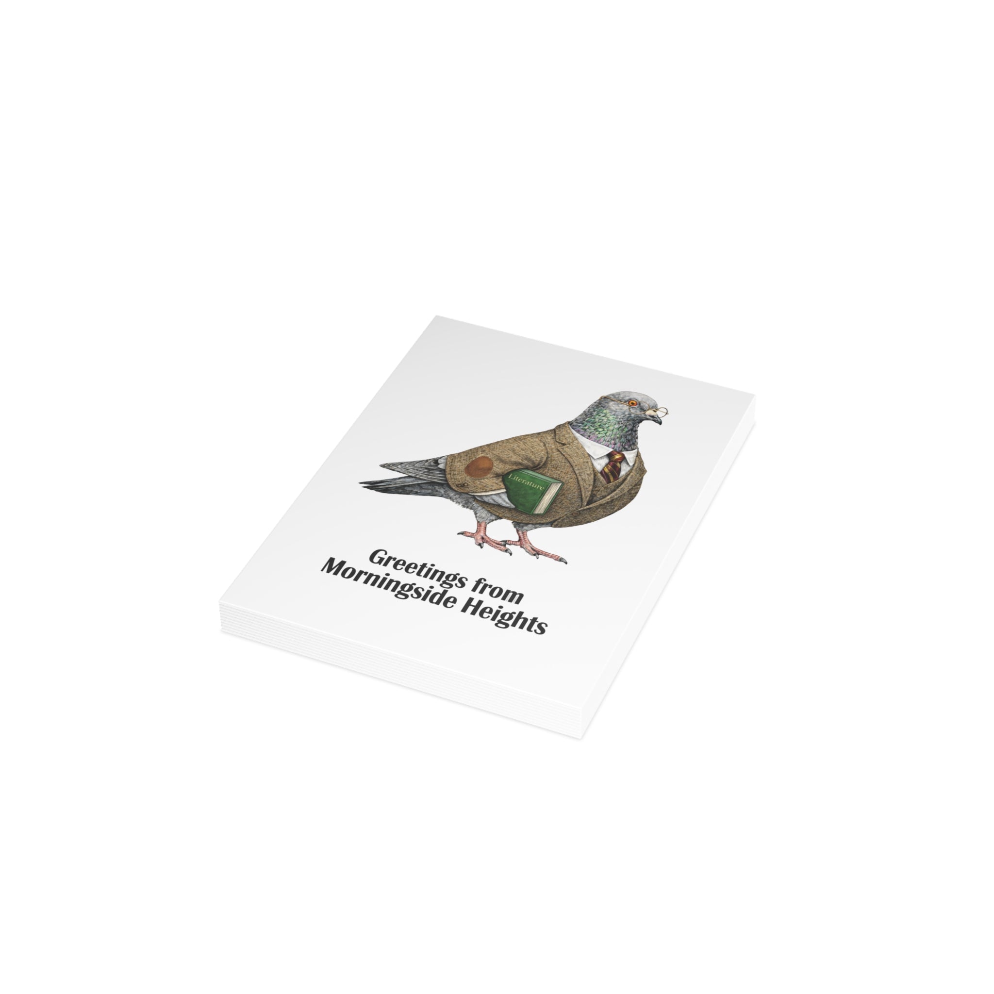 Morningside Heights NYC Pigeon Postcard Bundle (envelopes included)
