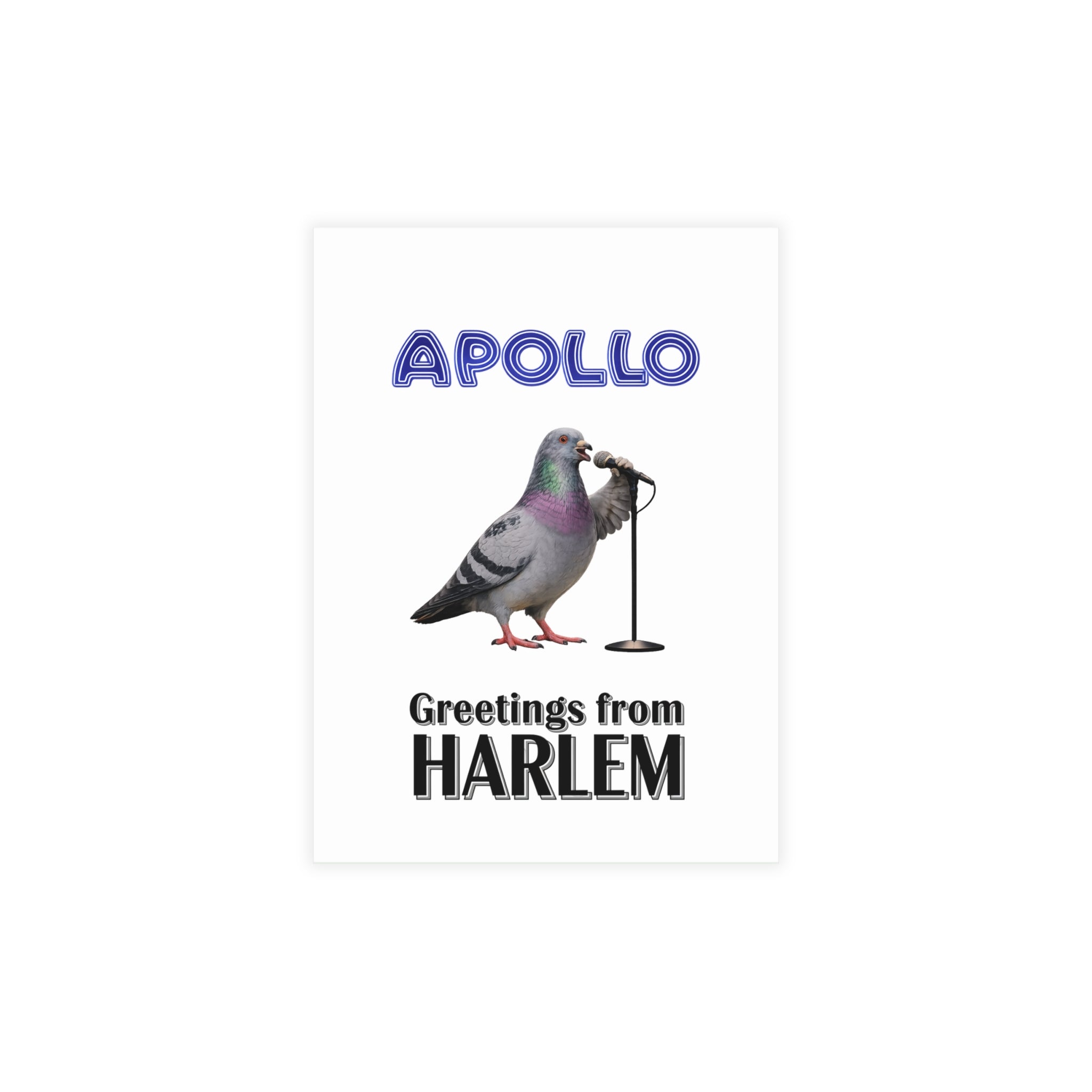 Harlem NYC Pigeon Postcard Bundle (envelopes included)