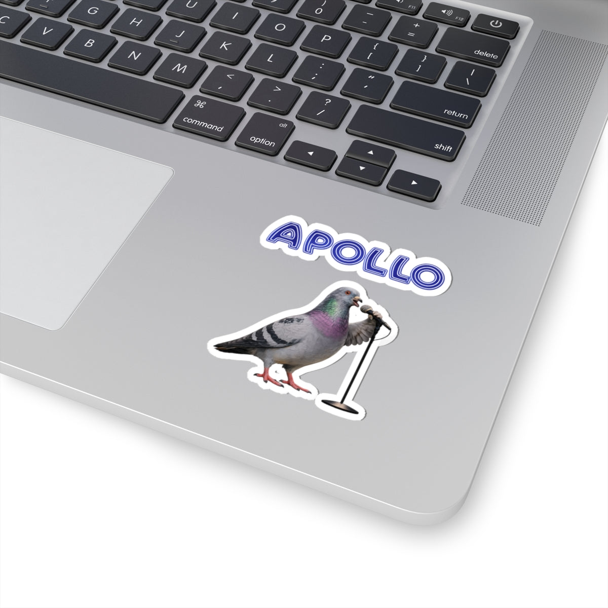 Harlem NYC Pigeon 3" x 3" Sticker