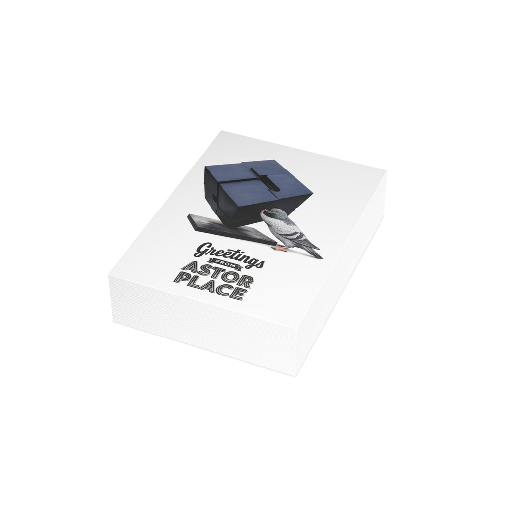 Astor Place NYC Pigeon Postcard Bundle (envelopes included)
