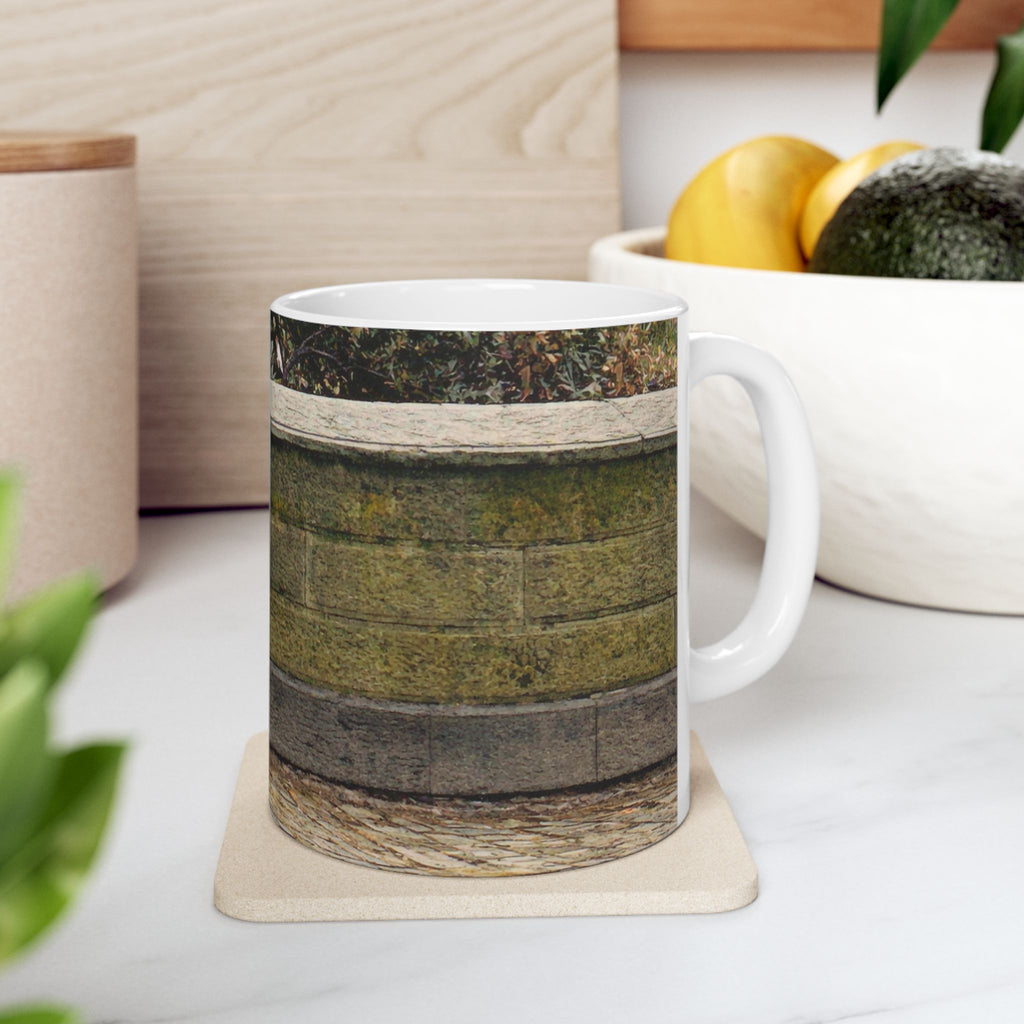 Central Park Perimeter Wall Mug | Stone Wall Coffee Cup