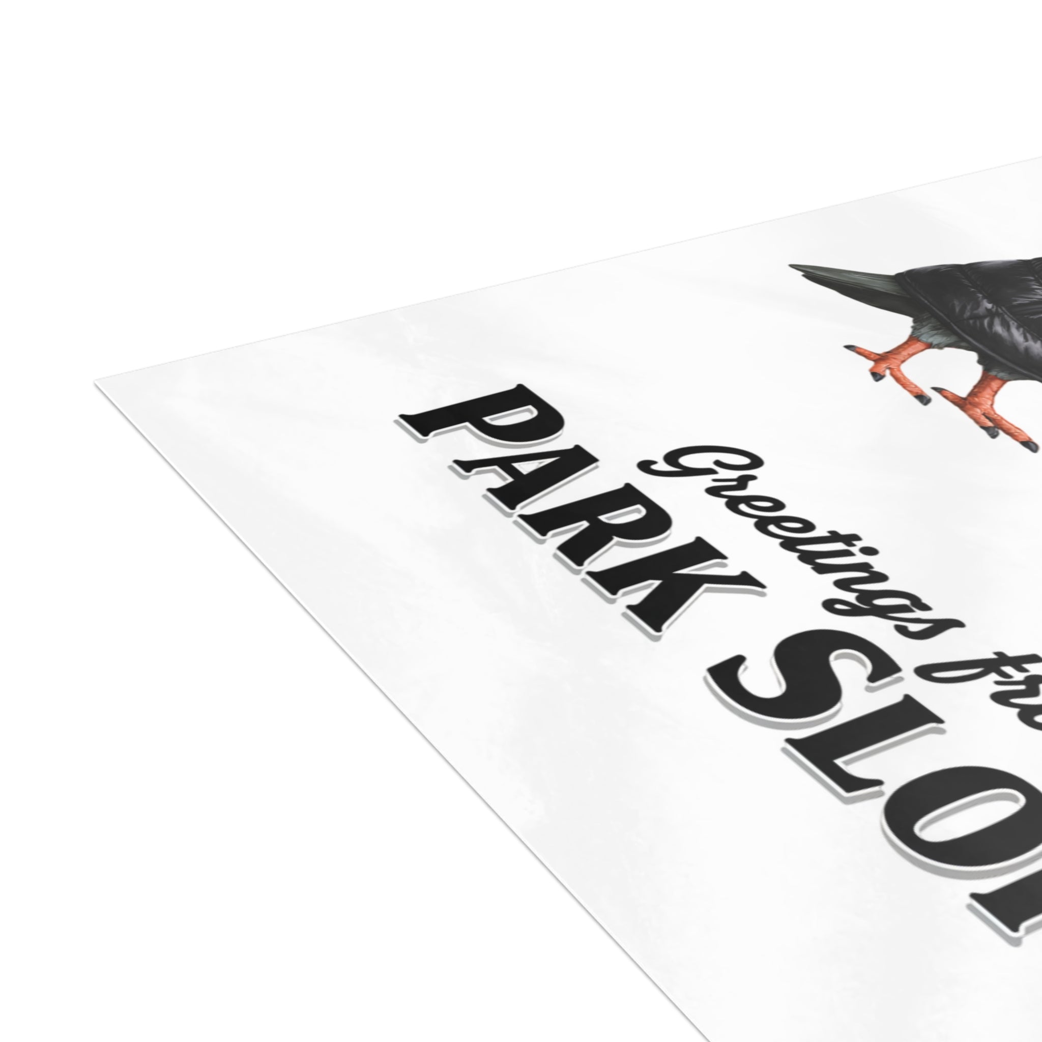 Park Slope NYC Pigeon Postcard Bundle (envelopes included)