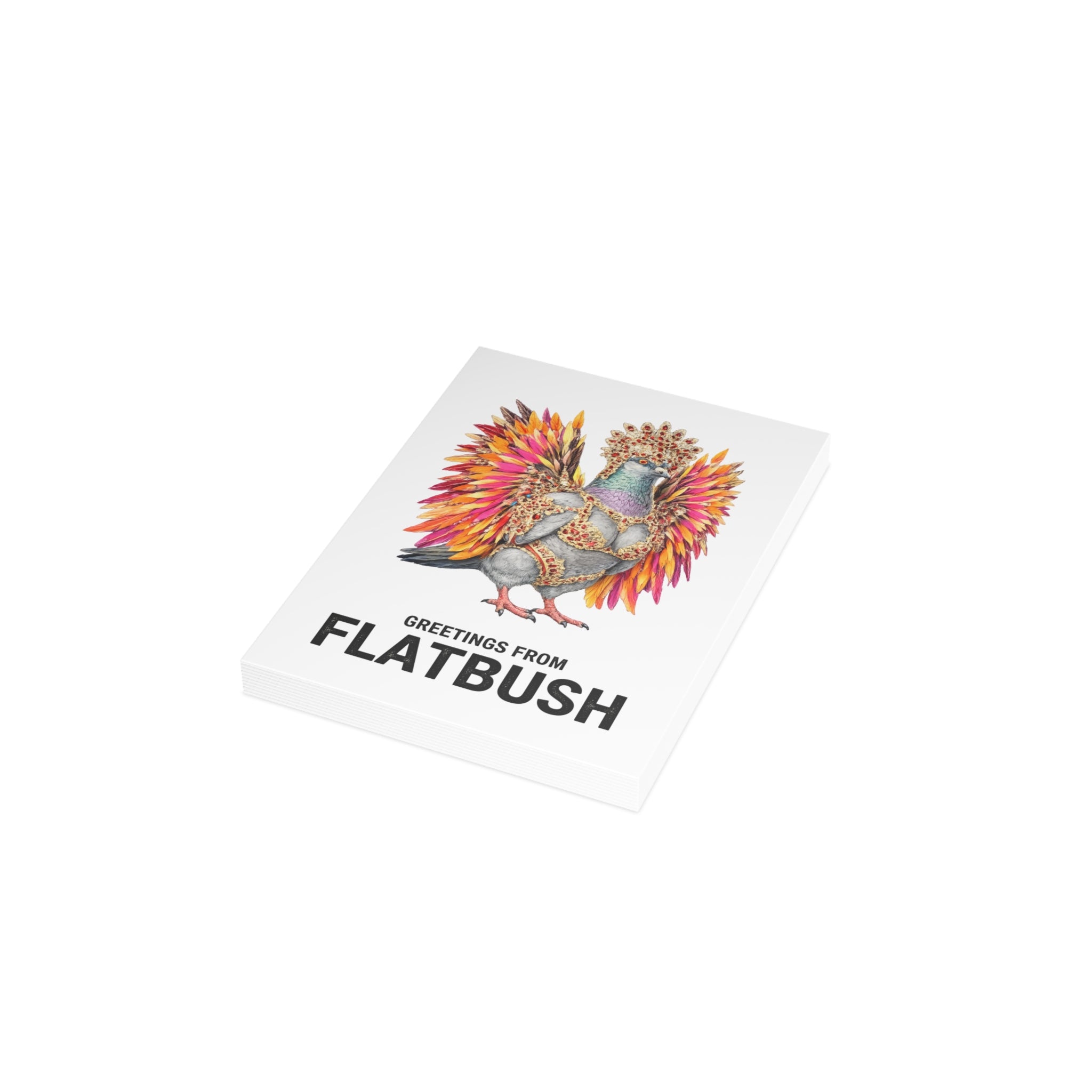 Flatbush NYC Pigeon Postcard Bundle (envelopes included)