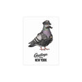 Greetings From New York Pride Chelsea NYC Pigeon Postcard Bundle (envelopes included)