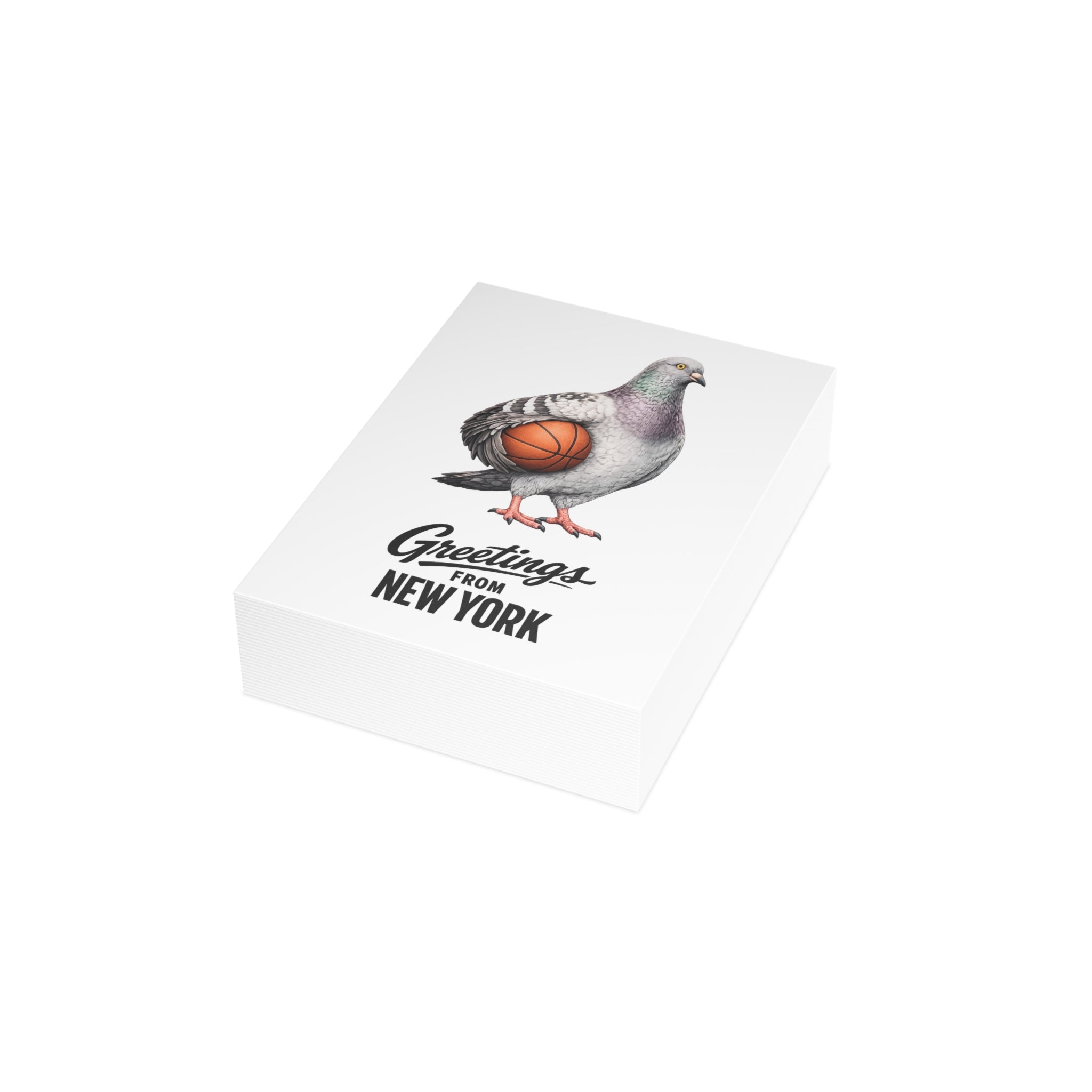 Basketball Player NYC Pigeon New York Postcard Bundle (envelopes included)
