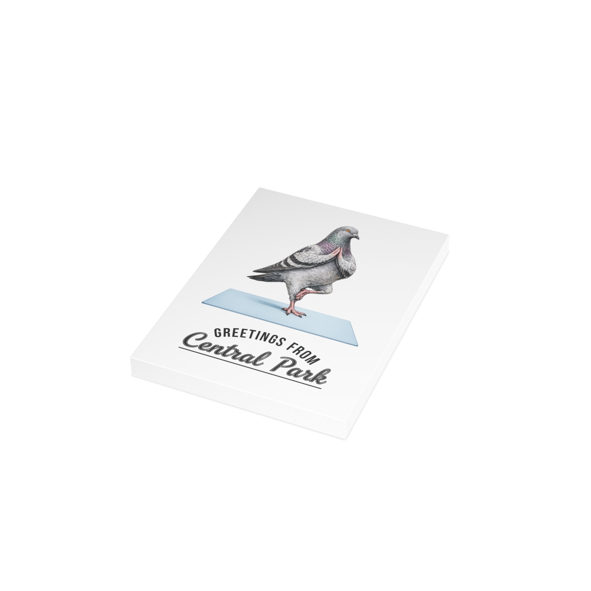 Central Park NYC Pigeon Postcard Bundle (envelopes included)