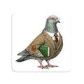 Morningside Heights NYC Pigeon Magnet