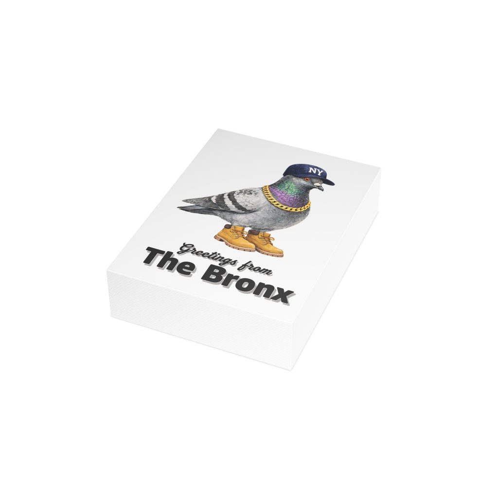 Bronx NYC Pigeon Postcard Bundle (envelopes included)