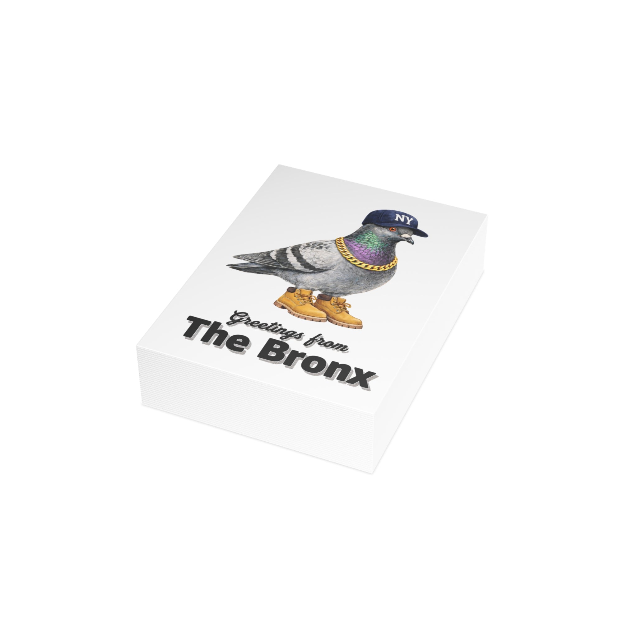 Bronx NYC Pigeon Postcard Bundle (envelopes included)