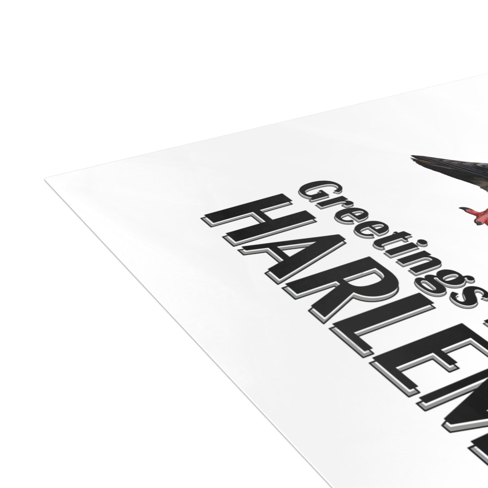 Harlem NYC Pigeon Postcard Bundle (envelopes included)