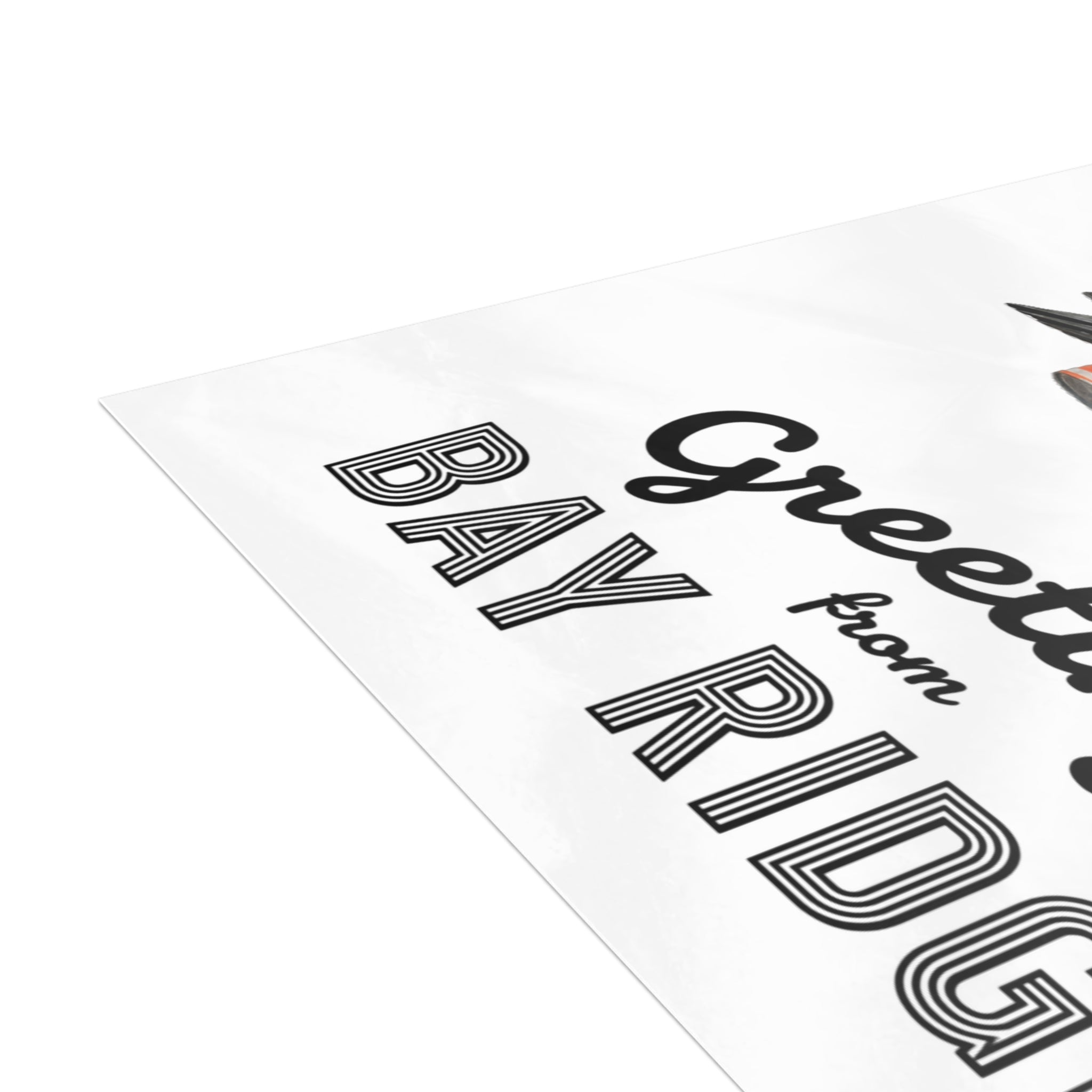 Bay Ridge NYC Pigeon Postcard Bundle (envelopes included)