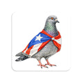 East Harlem NYC Pigeon Magnet
