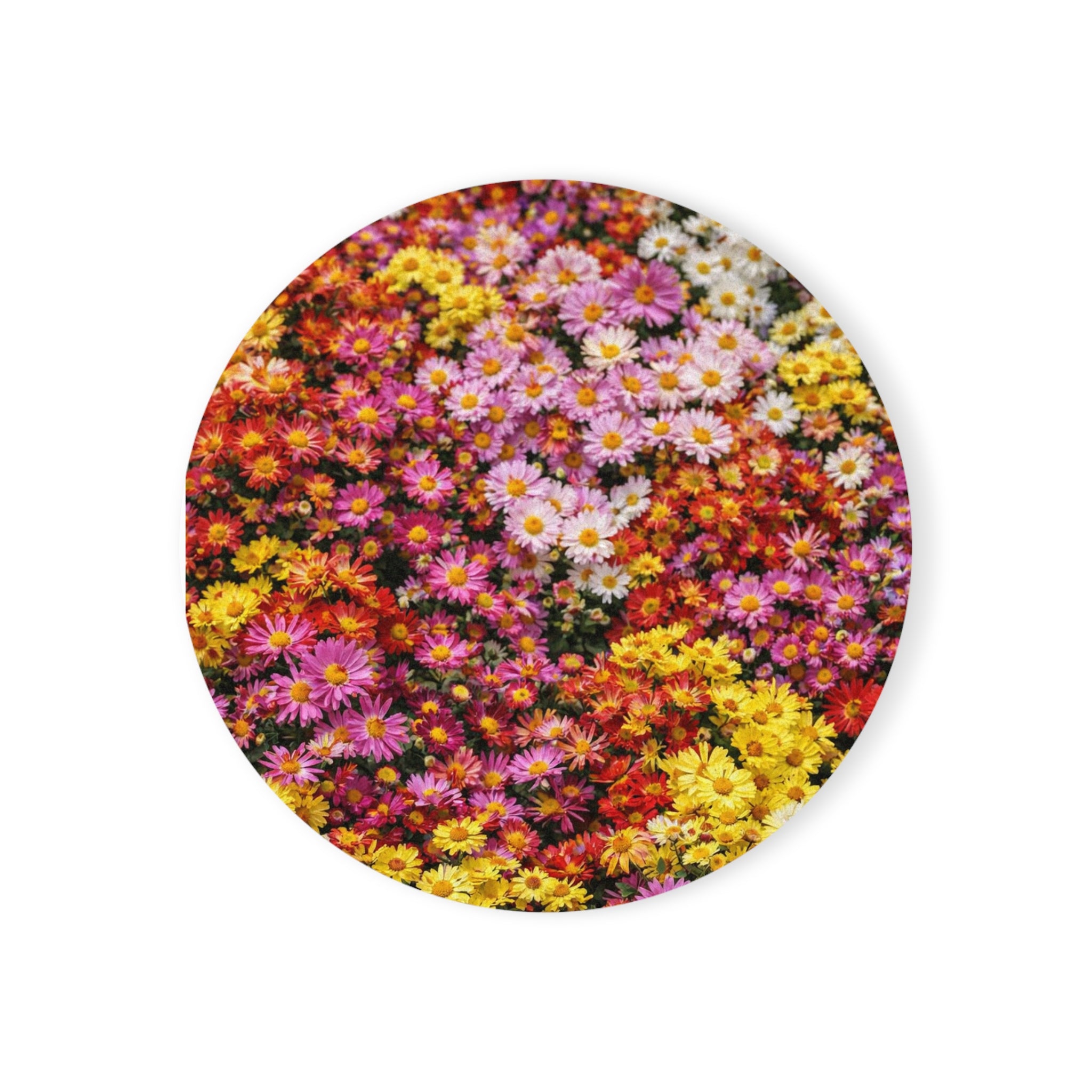 Central Park Garden Korean Chrysanthemum Flowers Cork Back Coaster | Round Flower Pattern