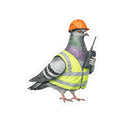 Red Hook NYC Pigeon 3" x 3" Sticker