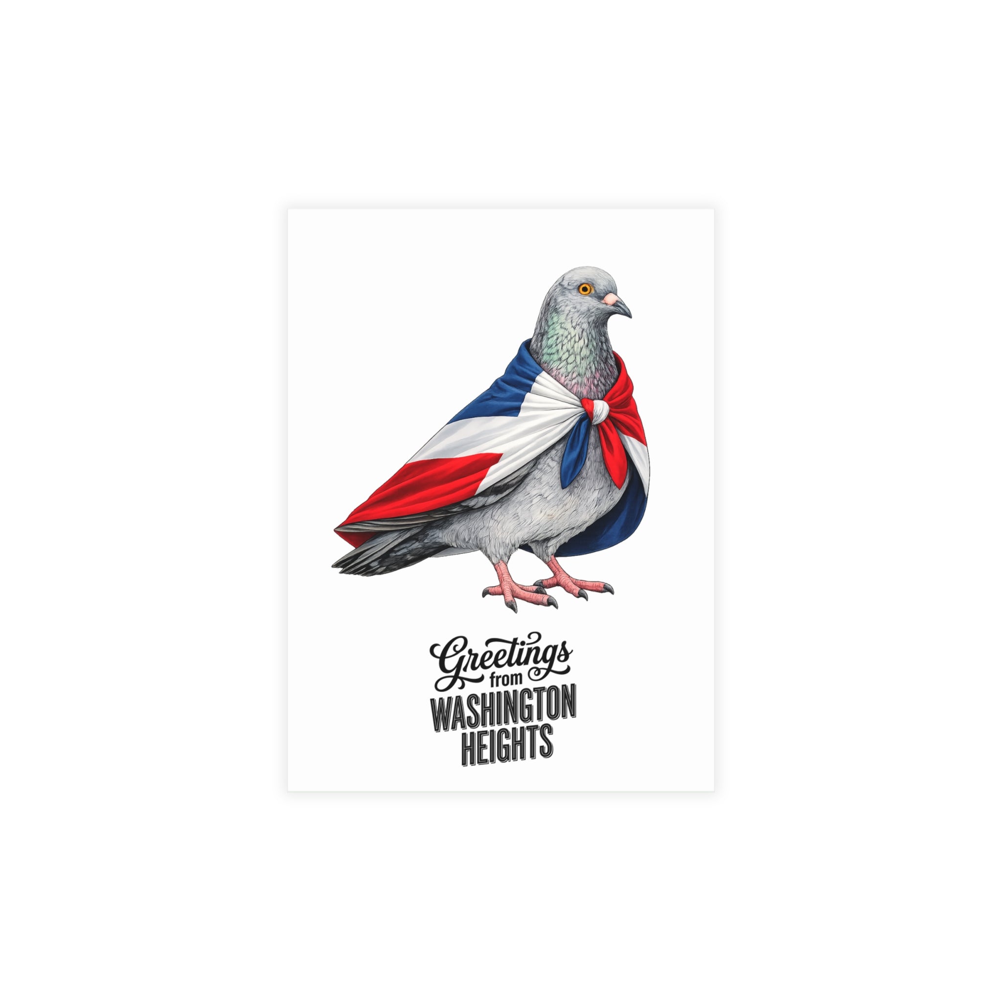 Washington Heights NYC Pigeon Postcard Bundle (envelopes included)