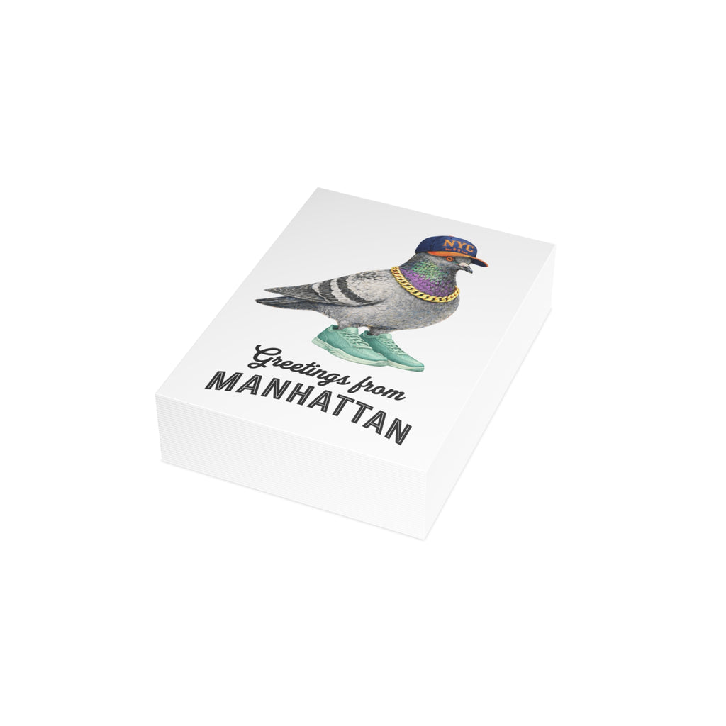 Manhattan NYC Pigeon Postcard Bundle (envelopes included)