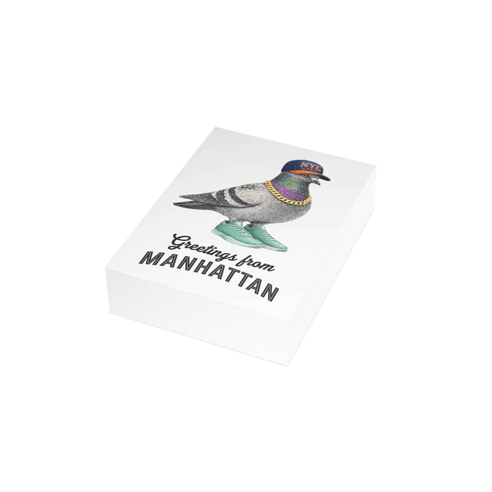 Manhattan NYC Pigeon Postcard Bundle (envelopes included)