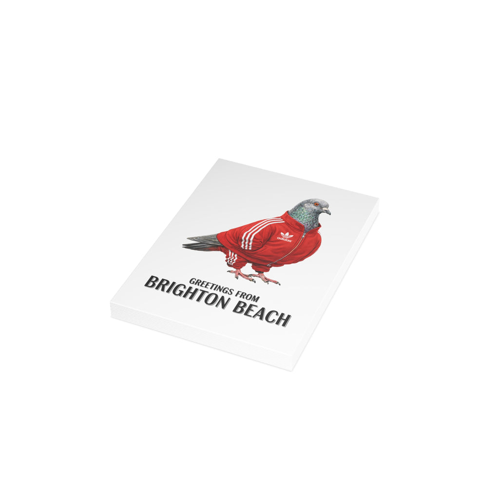Brighton Beach NYC Pigeon Postcard Bundle (envelopes included)